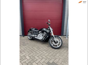 Harley-Davidson V-ROD Muscle Vrscf 2012 occasion