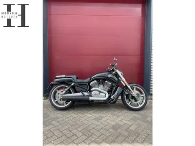 HARLEY-DAVIDSON V-ROD MUSCLE VRSCF – foto 4