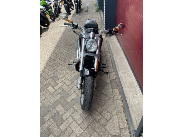 harley-davidson - v-rod-muscle-vrscf
