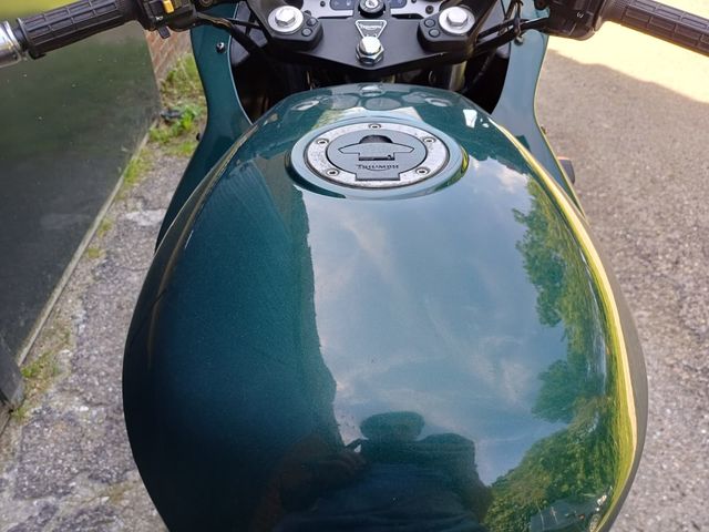 triumph - sprint-executive