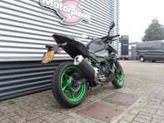 Kawasaki Z 500 2024 occasion – foto 3 van 8