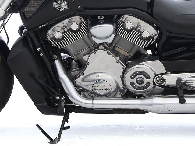 harley-davidson - v-rod-muscle-vrscf