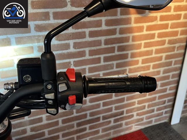 benelli - leoncino-800-trail