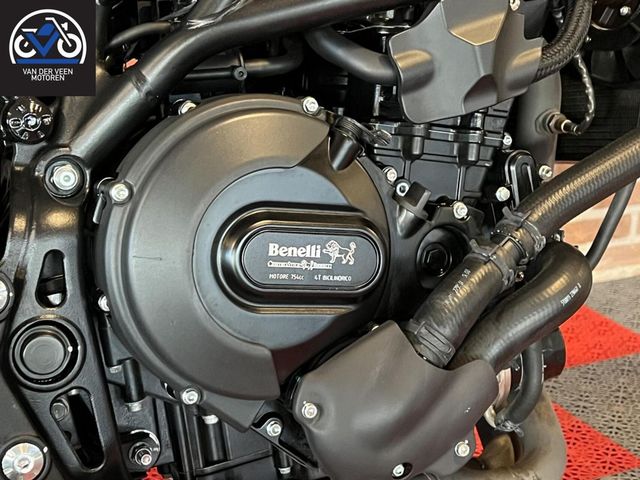 benelli - leoncino-800-trail