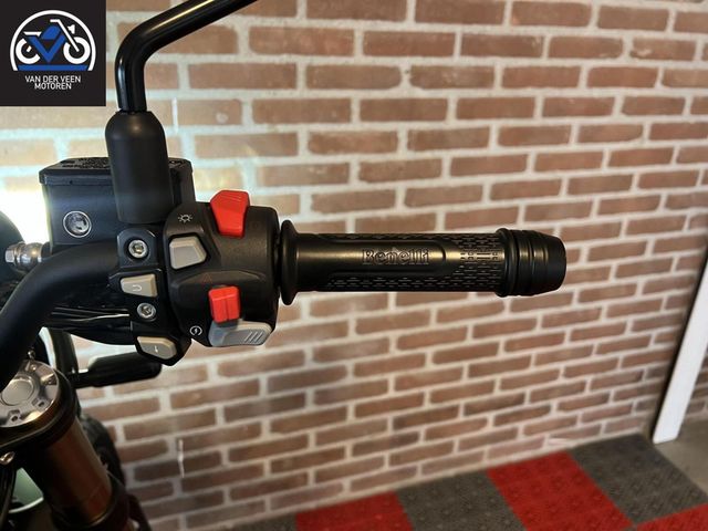 benelli - leoncino-800-trail