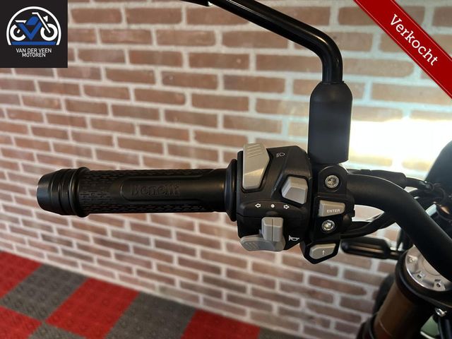 benelli - leoncino-800-trail