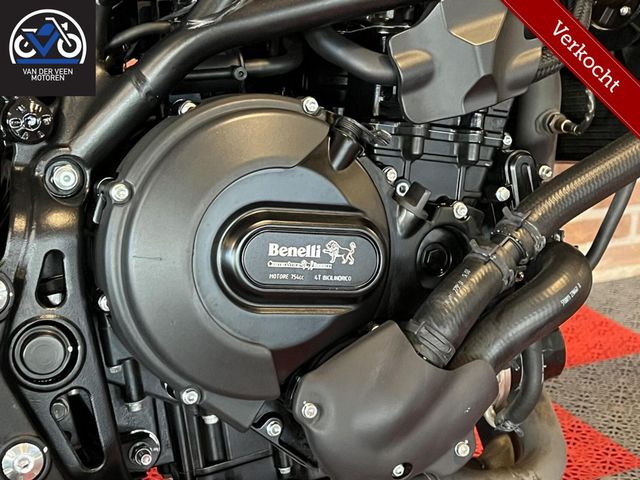 benelli - leoncino-800-trail