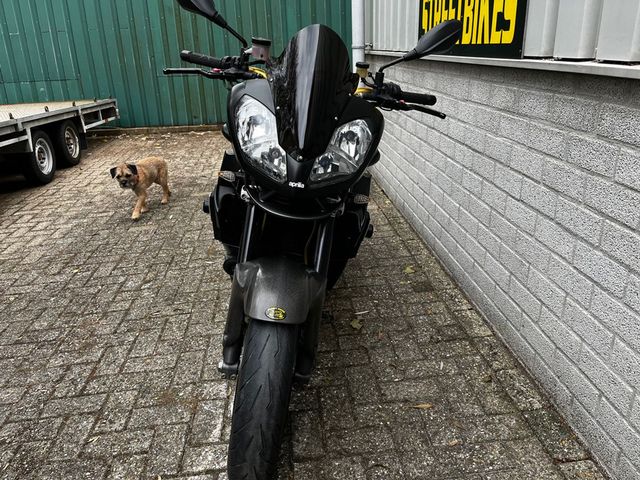 aprilia - tuono
