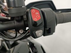 Triumph Tiger 1200 GT Explorer 2022 occasion – foto 17 van 22