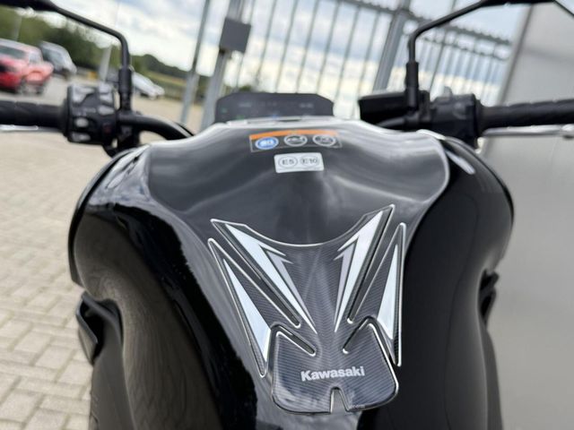 kawasaki - z900-performance
