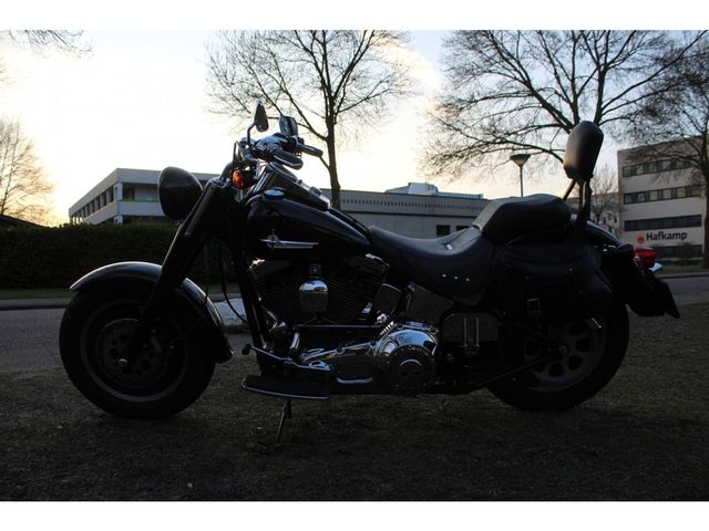 harley-davidson - fat-boy-flstfi