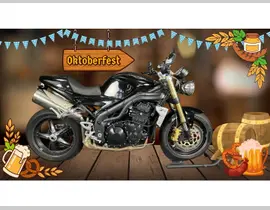 Triumph Speed Triple 1050 2005 occasion