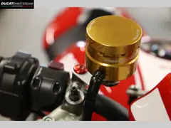 Ducati Monster 1200 R 2016 occasion – foto 9 van 24