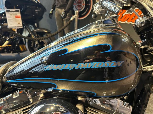 harley-davidson - screaming-eagle-cvo-dyna-fxdse