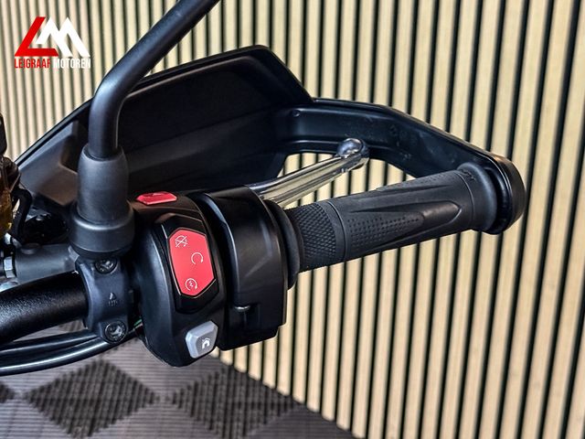 triumph - tiger-900-rally-pro