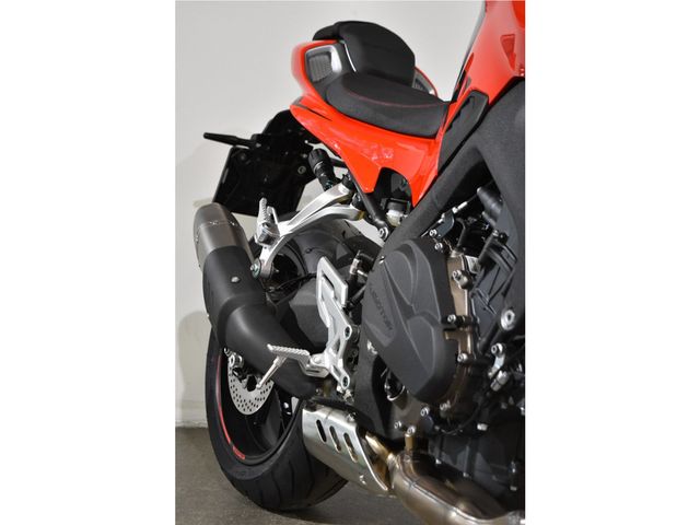 QJMOTOR - srk-800-rr