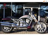 HARLEY-DAVIDSON V-ROD STREET ROD VRSCR