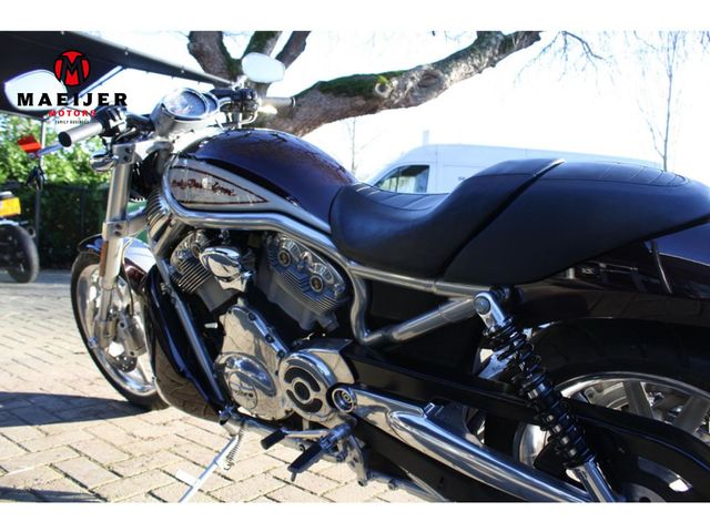 harley-davidson - v-rod-street-rod-vrscr