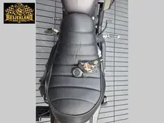 Harley-Davidson Sportster Iron XL 883 N 2016 occasion – foto 19 van 24
