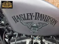 Harley-Davidson Sportster Iron XL 883 N 2016 occasion – foto 20 van 24