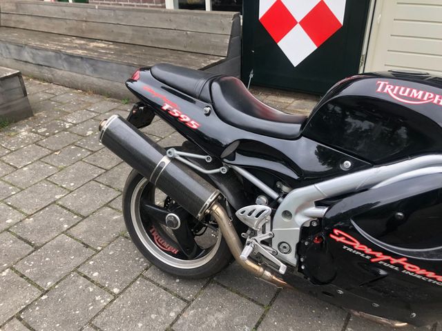 triumph - daytona-t--595