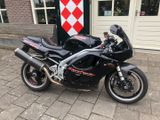TRIUMPH DAYTONA T  595