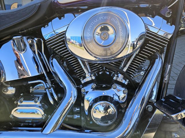 harley-davidson - springer-flsts-softail