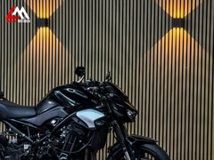 Kawasaki Z900 Performance 2025 occasion – foto 8 van 12