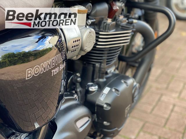 triumph - bonneville--t-120