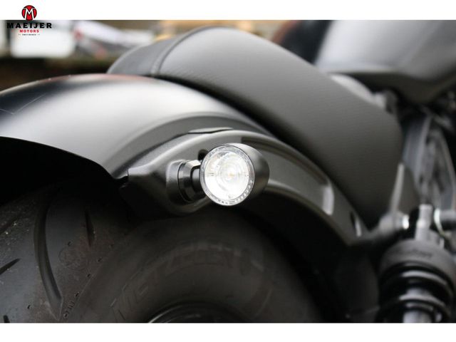 indian - scout-rogue