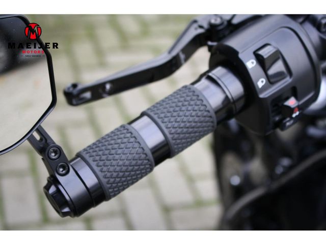 indian - scout-rogue