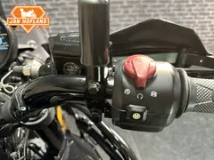 Royal Enfield Himalayan 2025 occasion – foto 6 van 22