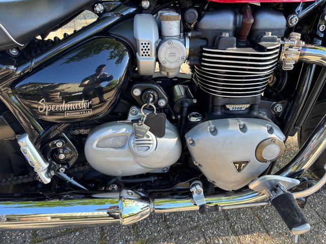 triumph - bonneville-speedmaster
