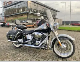 Harley-Davidson Heritage Softail Classic Flstc 2003 occasion