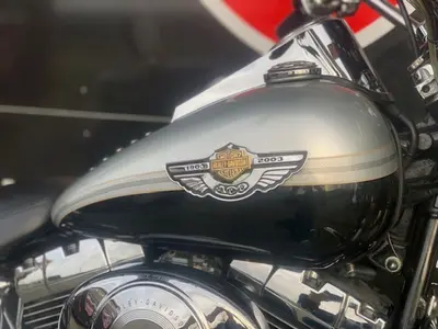 HARLEY-DAVIDSON HERITAGE SOFTAIL CLASSIC FLSTC – foto 4