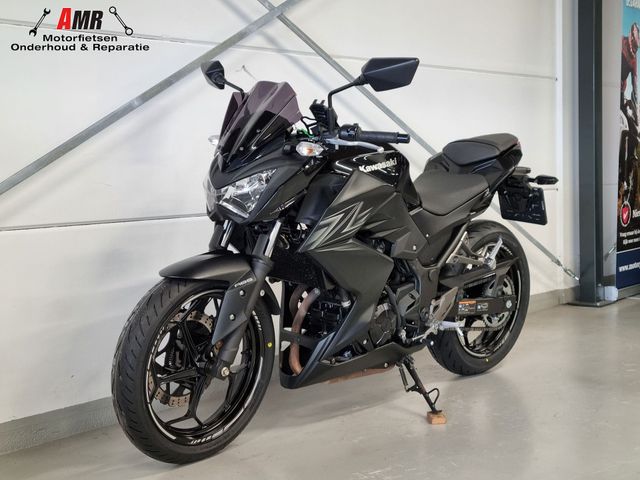 kawasaki - z-300