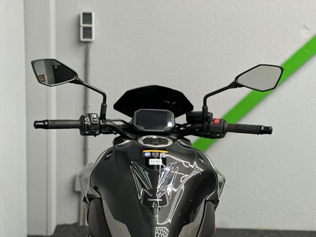 kawasaki - z900-performance