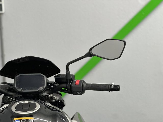 kawasaki - z900-performance
