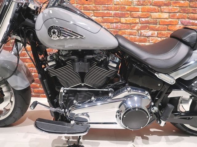harley-davidson - fat-boy-flfb-softail