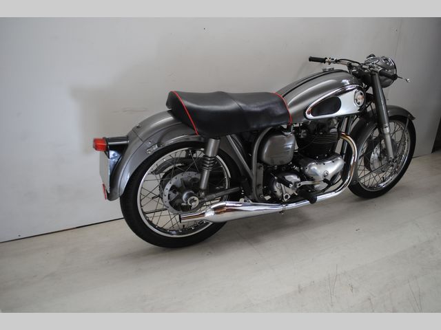 norton - dominator