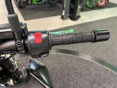 Kawasaki Z 900 ABS 2019 occasion – foto 21 van 23