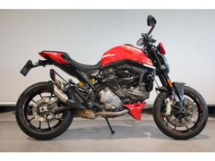 DUCATI MONSTER +