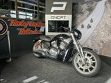 HARLEY-DAVIDSON V-ROD STREET ROD VRSCR