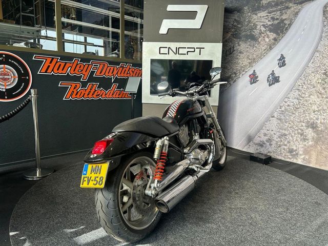 harley-davidson - v-rod-street-rod-vrscr