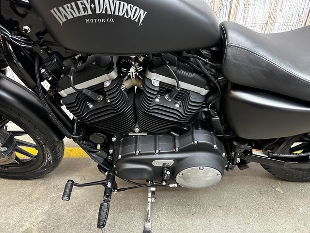 harley-davidson - sportster-iron-883