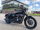 HARLEY-DAVIDSON SPORTSTER IRON XL 883 N