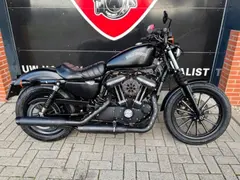 Harley-Davidson XL883N Iron Sportster 883 2015 occasion – foto 2 van 14