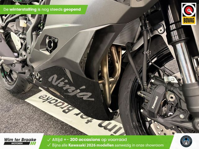 kawasaki - ninja-zx-4rr