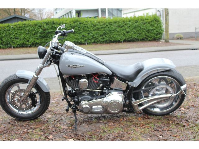 harley-davidson - softail-custom