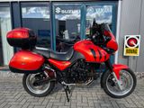 TRIUMPH TIGER